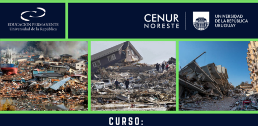 Construcción en Madera – “Aproximación al diseño de estructuras por esfuerzohorizontal – Sismo y Viento”