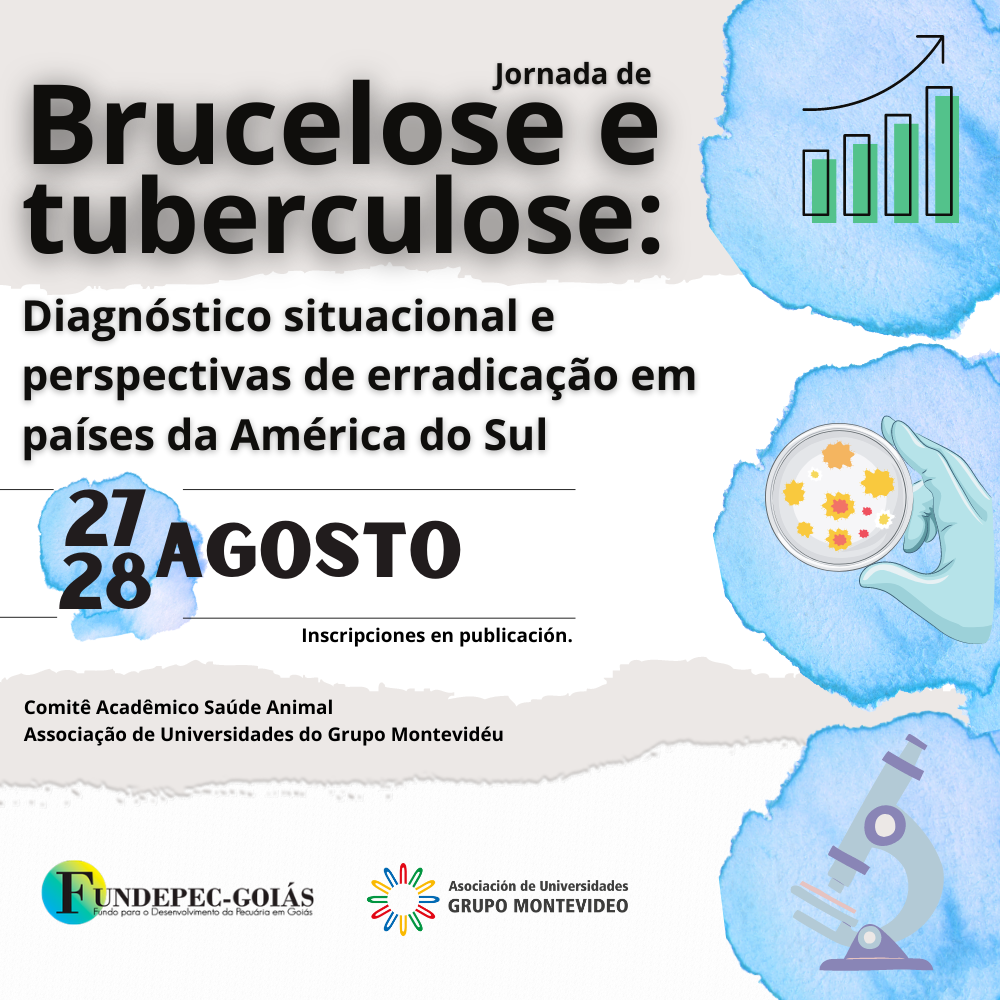 banner-portugues