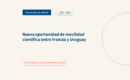 banner web