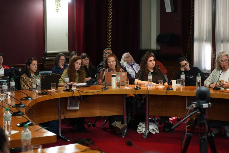 Comisión Abierta de Equidad y Género