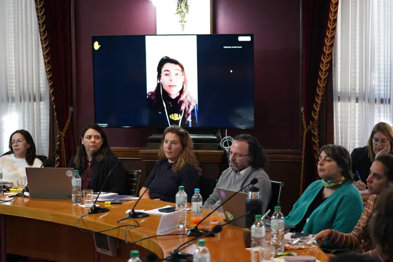 Comisión Abierta de Equidad y Género