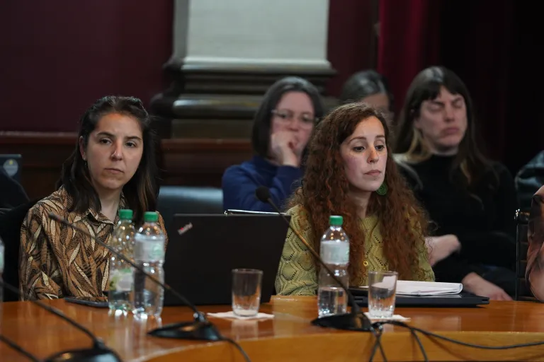 Comisión Abierta de Equidad y Género