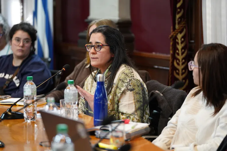 Comisión Abierta de Equidad y Género