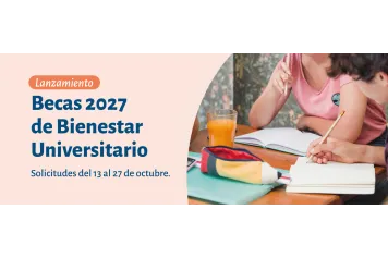 beca de bienestar