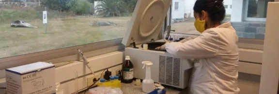 laboratorio CURE