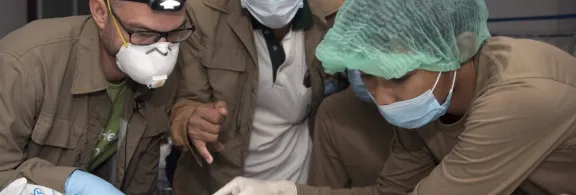 Foto: EcoHealth Alliance (https://www.ecohealthalliance.org/2021/11/pandemics-are-preventable)