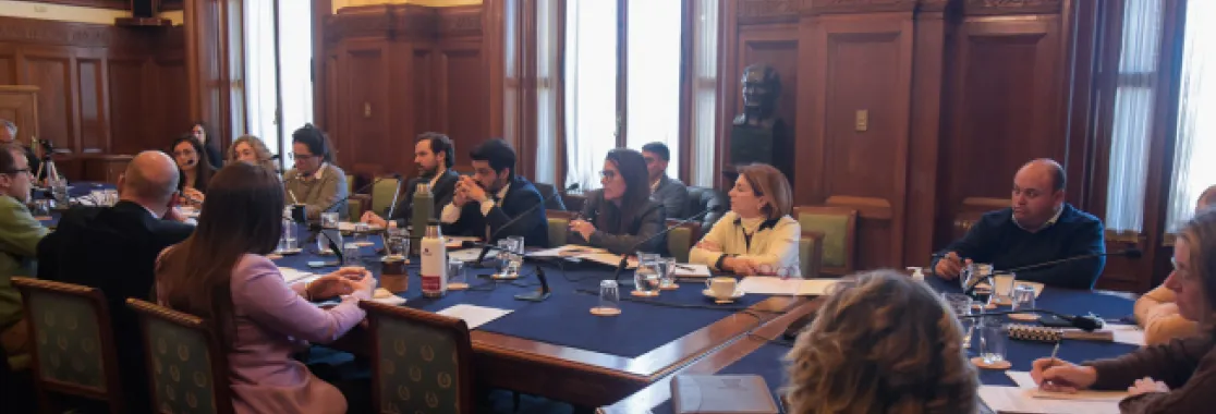 20.05.25 - Comision de Salud Mental AG_0056 20.05.25 - Comision de Salud Mental AG_0056