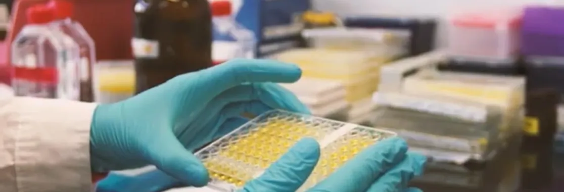 Foto: Web de la Facultad de Ciencias
