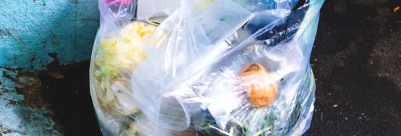 alimentos