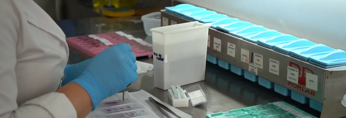 laboratorio